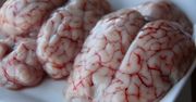 Surowy mózg z jagnięciny nowozelandzkiej
