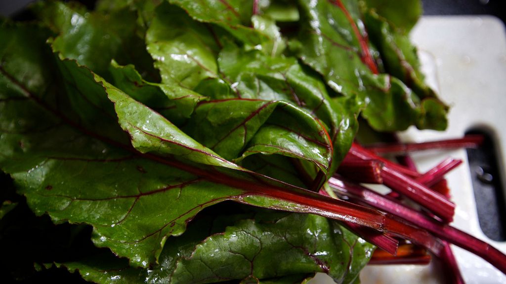 Gotowana boćwina z dodatkiem soli, odsączona