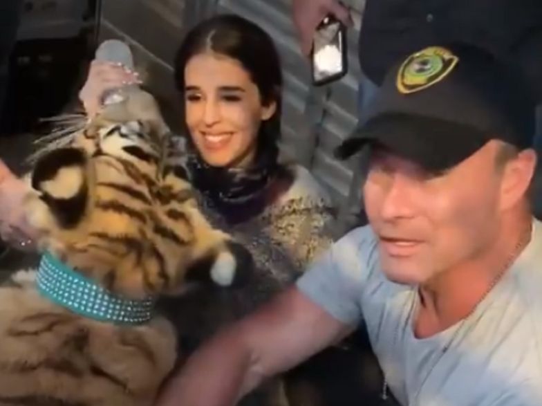 Tygrys włóczył się ulicami Houston. Finał głośnej sprawy z USA