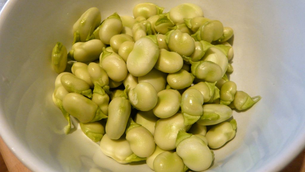 Gotowany młody bób z dodatkiem soli, odsączony