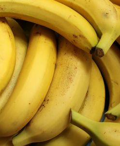 Znaleźli kokainę w bananach? Zadziwiające odkrycie w sklepach na Pomorzu