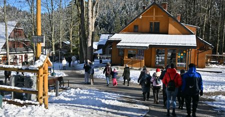 Pościel z egipskiej bawełny i materac dla psa. Oto życzenia polskich turystów