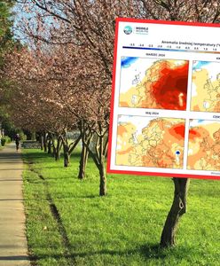 Wiosna 2024. Pogoda. Synoptycy pokazali mapy do czerwca