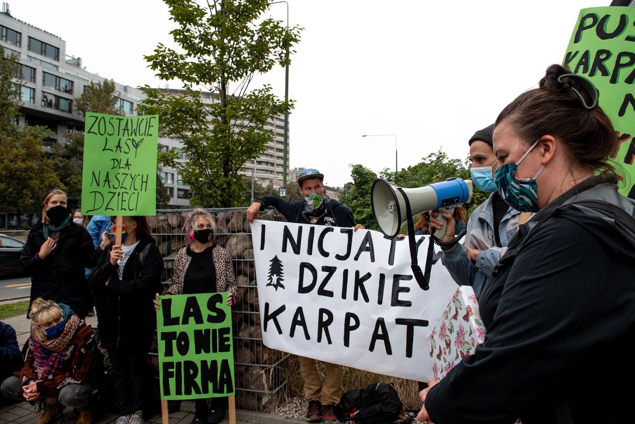 Protest przeciwko wycince w Puszczy Karpackiej (Inicjatywa Dzikie Karpaty)