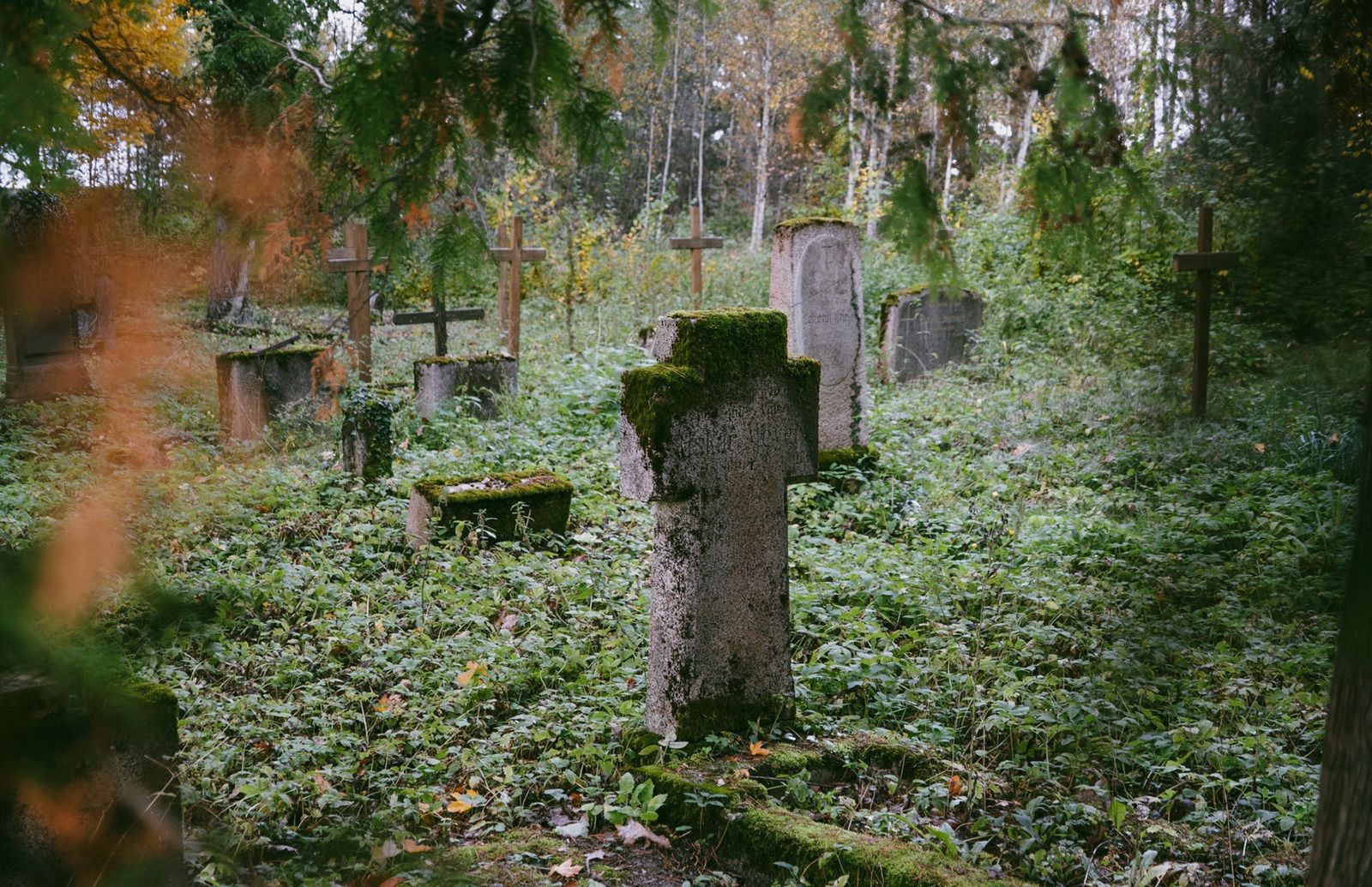 Stary cmentarz ewangelicki w Pleceminie