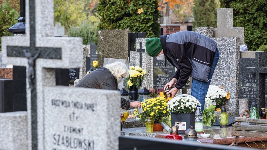 Zdjęcie ilustracyjne. Fot. Depositphotos.com/Agnieszka Bielecka