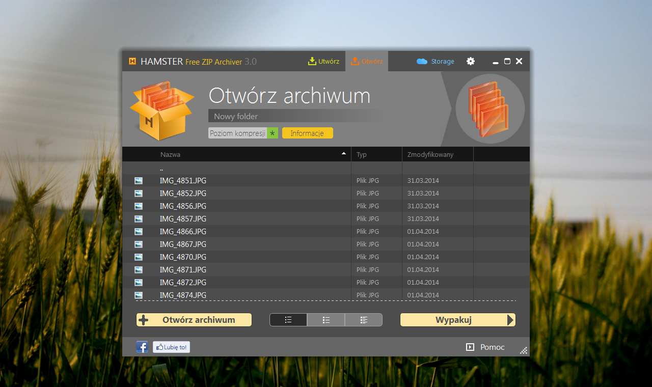 Obraz