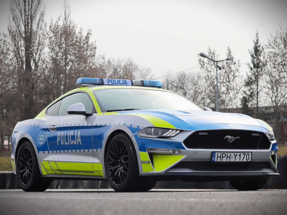 Mustang