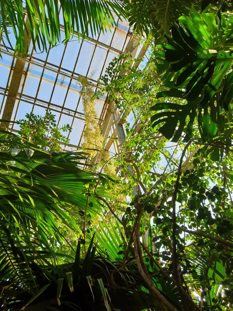 Ogród botaniczny w Poznaniu 
