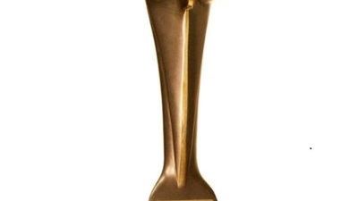 Prof. Sieroń została wyróżniona za walkę z koronawirusem 