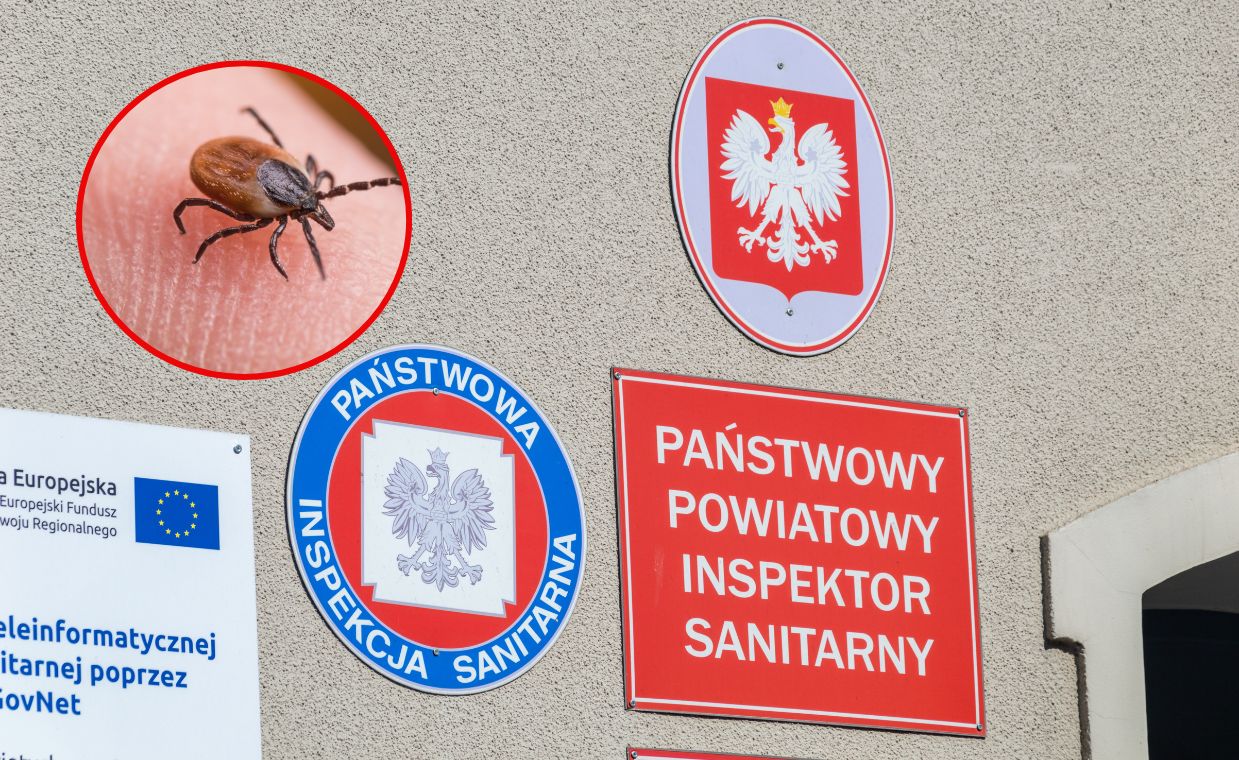 Jak się chronić przed atakującymi kleszczami?
