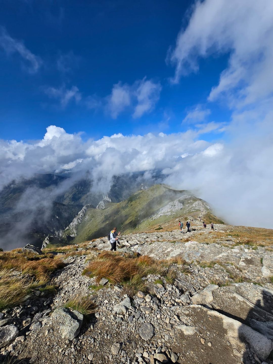 Szlak na Czerwone Wierchy z Kir do Kuźnic