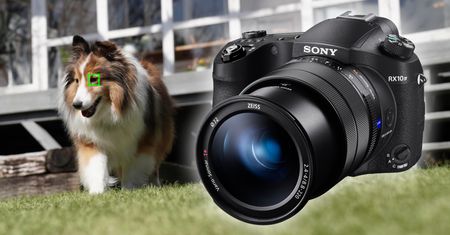 Sony RX10 IV otrzyma wykrywanie oczu zwierząt za darmo