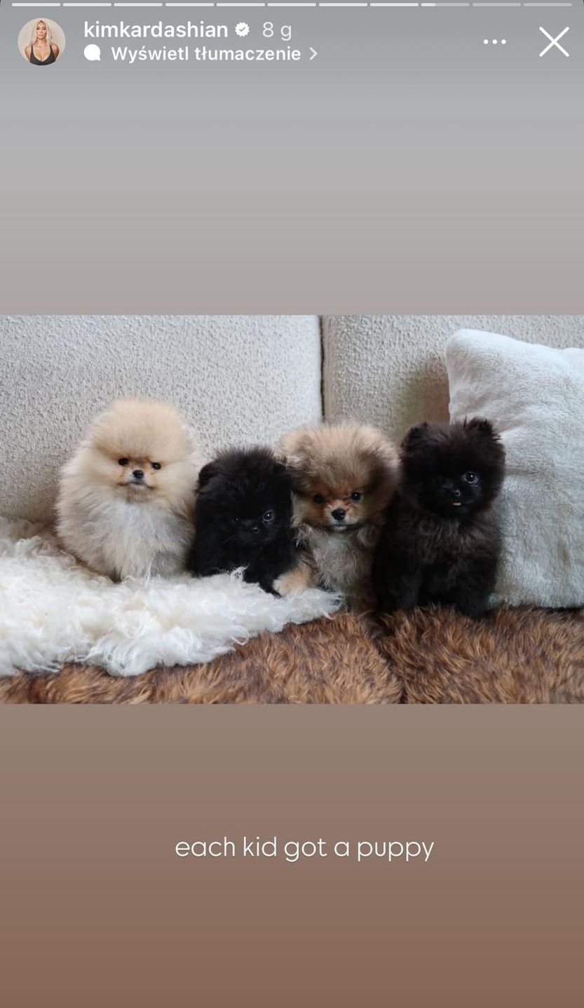 Kim Kardashian w ogniu krytyki 