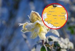 Ostrzeżenia dla całego kraju. Wydano alerty