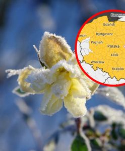 Ostrzeżenia dla całego kraju. Wydano alerty