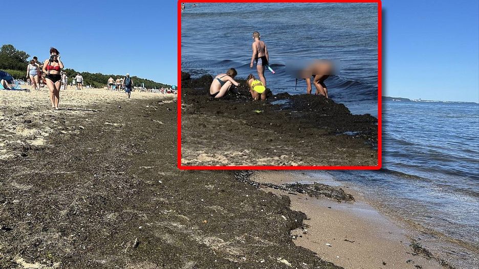 Tak 19 sierpnia b.r. o poranku wyglądała plaża w gdańskim Brzeźn