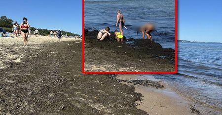 Turyści przecierali oczy. Taki widok na polskiej plaży