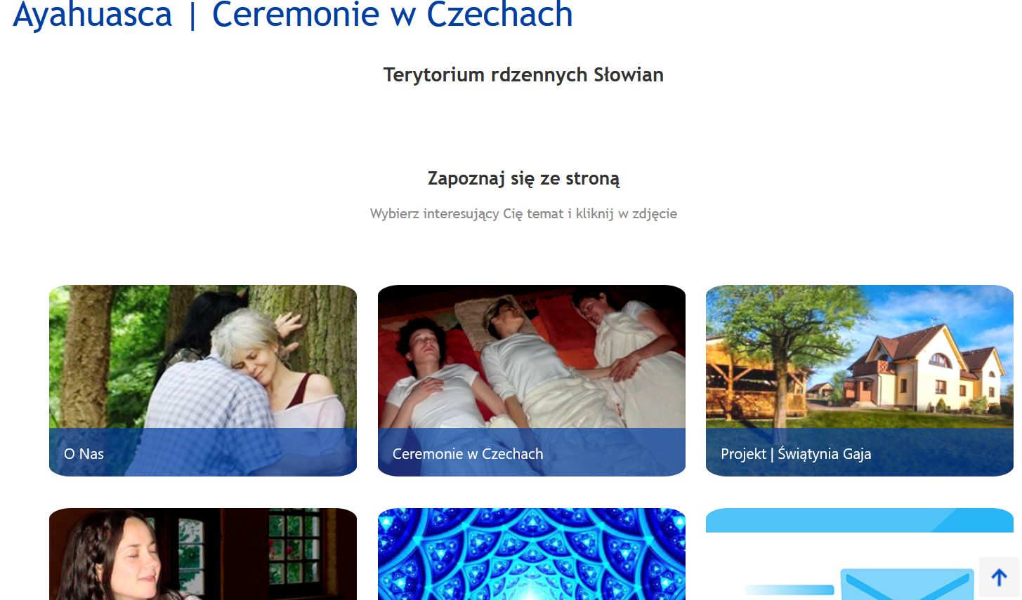 Materiały nt. ayahuaski znalezione w internecie