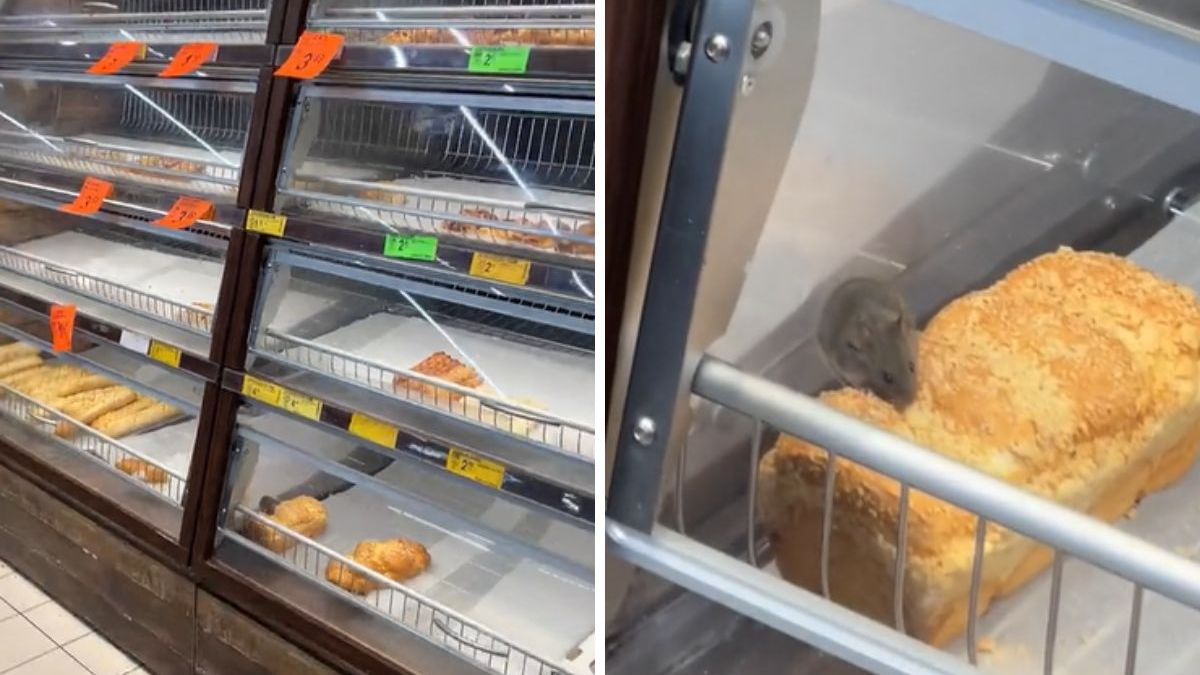 Mysz w pieczywie - Pyszności