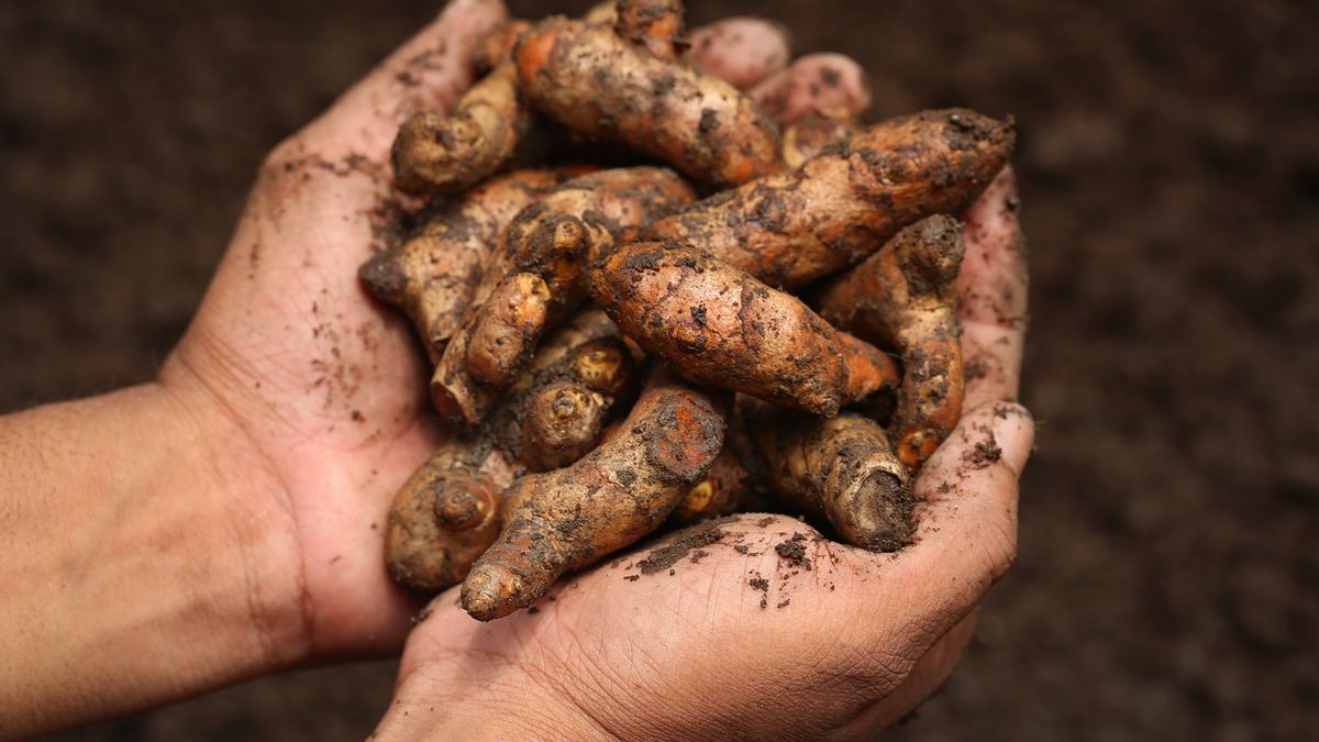 Przez rok jadła kurkumę. Dzięki temu pozbyła się trądziku