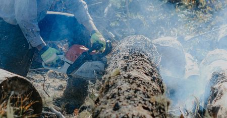 Zakopane. Deweloperzy i nielegalna wycinka 100-letnich drzew