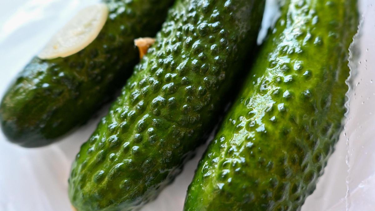 Ogórki małosolne coraz częściej pojawiają się w sklepach