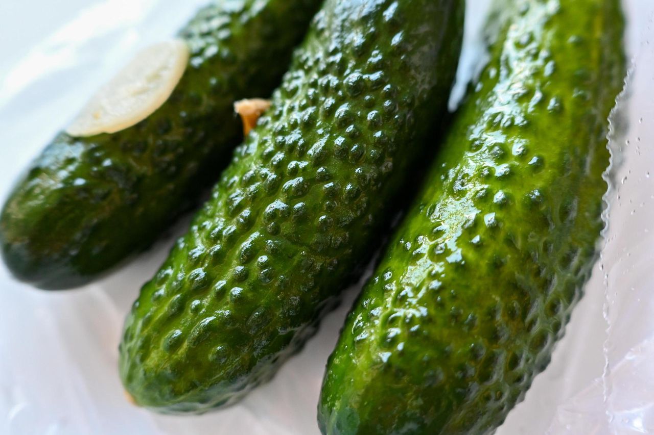 Ogórki małosolne coraz częściej pojawiają się w sklepach