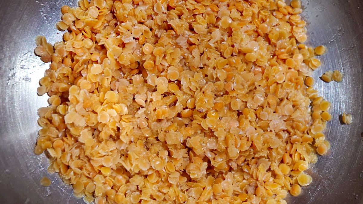 Soczewice – niedocenione źródło białka i błonnika