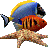 Marine Aquarium icon