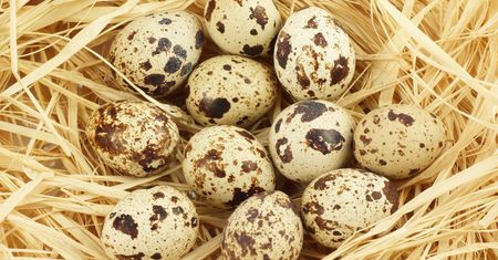 Zawierają znacznie mniej cholesterolu. Przebijają nawet popularne "zerówki"