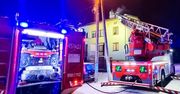 Pożary sadz w powiecie ostrowieckim