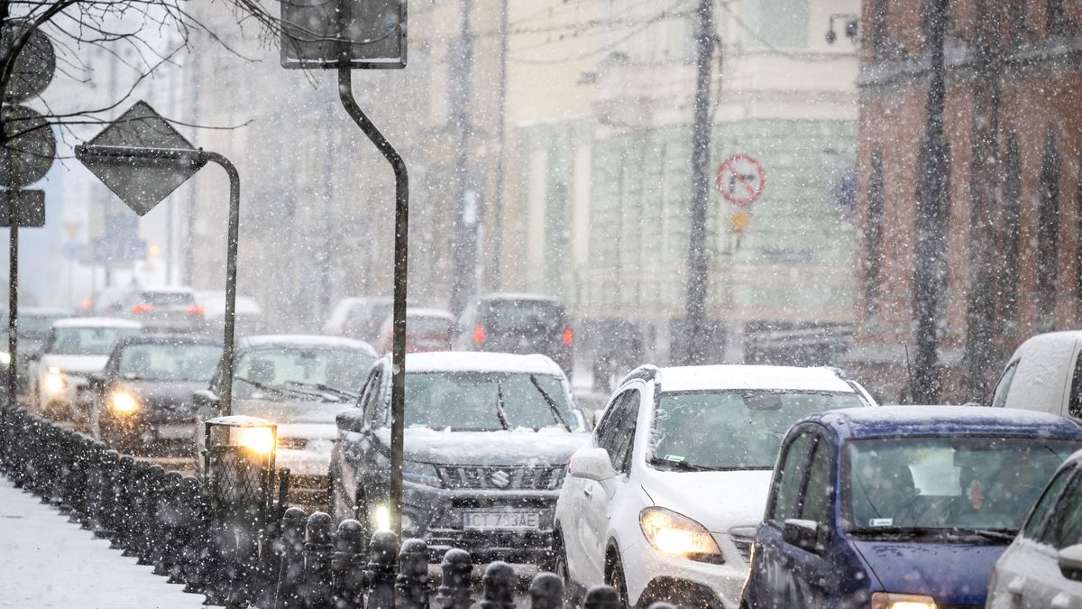 Zakaz sprzedaży aut spalinowych nie wejdzie w życie?