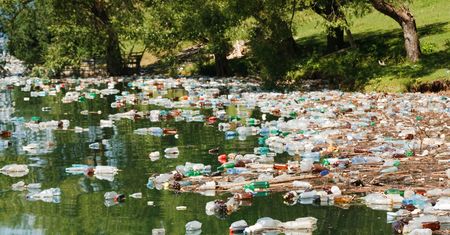 Ekologiczny plastik też szkodzi. Szczególnie rybom