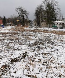 Czeladź. Miasto szuka inwestorów i szykuje dla nich nowe tereny