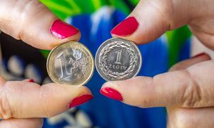 Nowe zasady ws. przelewów w euro. Jest decyzja Sejmu