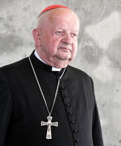 Stanisław Dziwisz wydaje oświadczenie w sprawie "Don Stanislao"