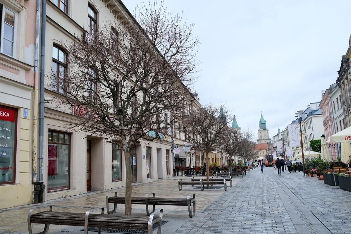 Wycinka platanów na Krakowskim Przedmieściu
