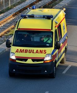 6-latka zginęła na pasach. Śledczy sprawdzają autobus