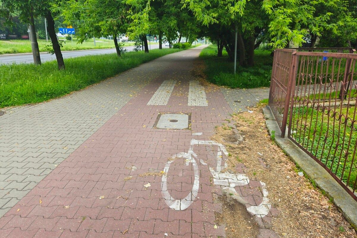Gałęzie opadające na ścieżkę rowerową na al. Andersa