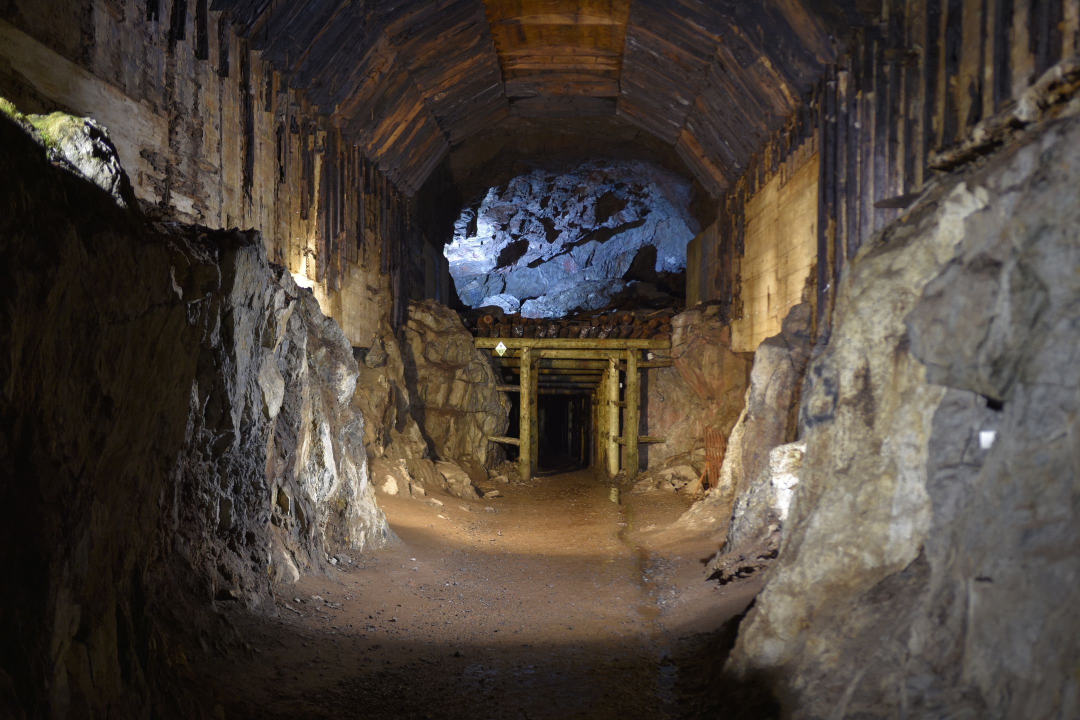 Złoty pociąg miał mieć związek z Projektem Riese