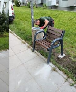 Ławeczki dla singli w Częstochowie hitem internetu. Komentarze mówią wszystko