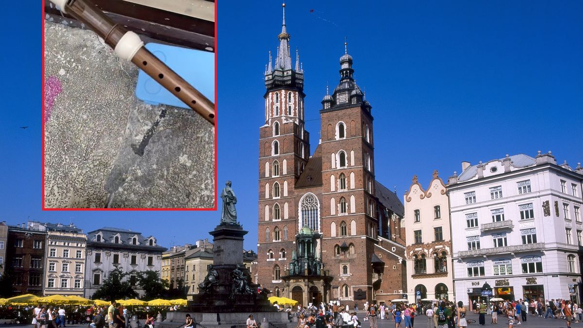 Kraków. Tiktoker grał na flecie. Dostał 500 złotych mandatu