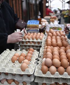 Nowe przepisy Unii ws. jajek. "Ceny wzrosną"