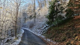 Prognoza pogody na weekend. Będzie śnieg i mróz, a w nocy gęste mgły