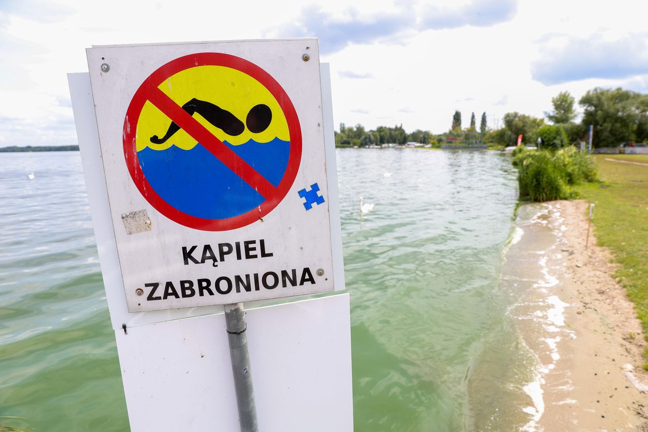 Plaża w Nieporęcie, 26 bm. W jeziorze Zegrzyńskim zakwitły sinice