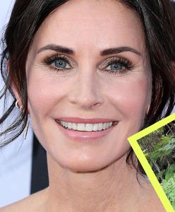 "Mądrości" gwiazdy kultowego hitu. Jak można coś takiego napisać?