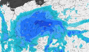 Pogoda. Nadciąga niż Daniel. IMGW ostrzega przed silnym wiatrem i opadami deszczu