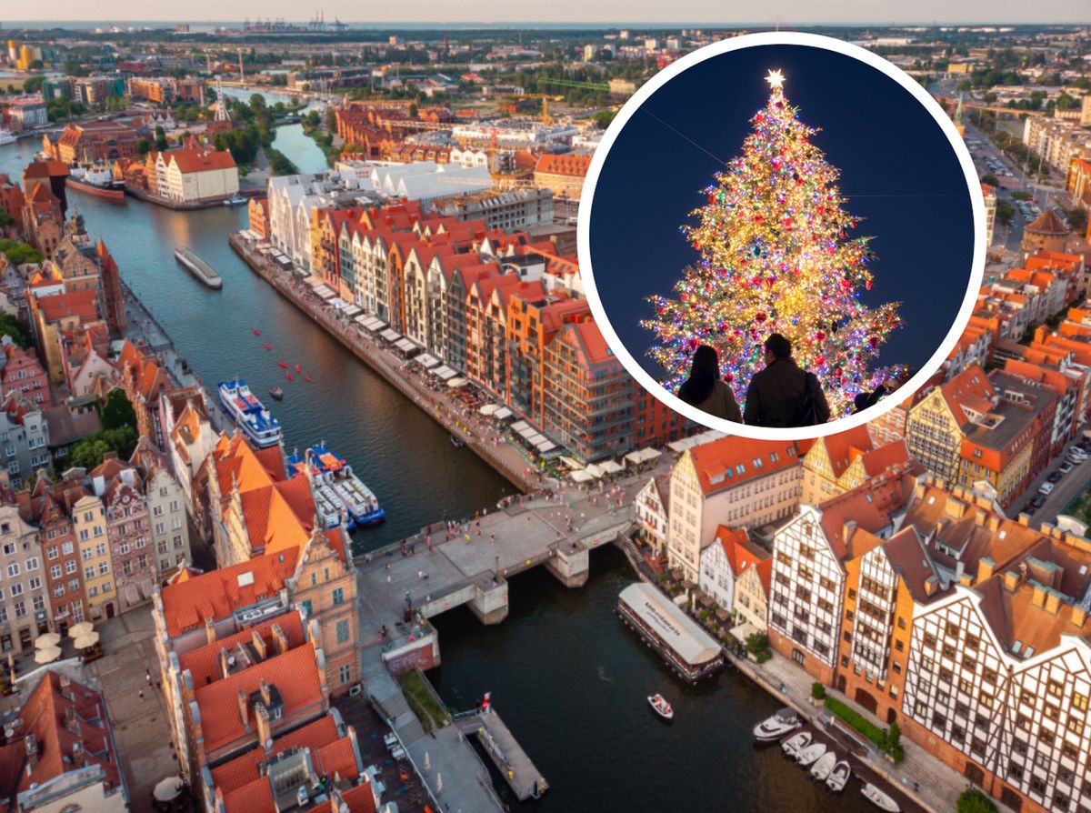 W Gdańsku pojawiła się już pierwsza świąteczna choinka - zdjęcie ilustracyjne