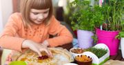 Mazurek kajmakowy. Najprostszy przepis na Wielkanoc